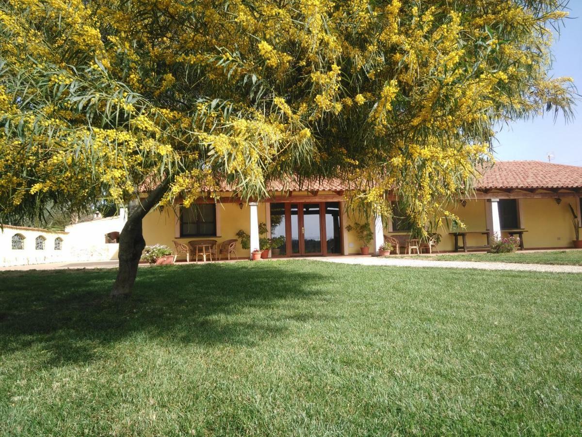 La Mimosa Farm stay *