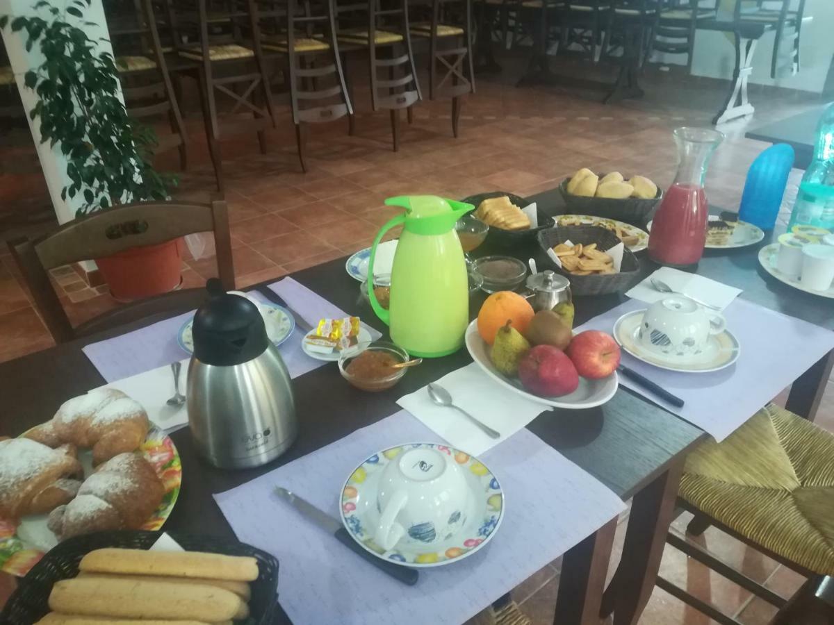 La Mimosa Farm stay